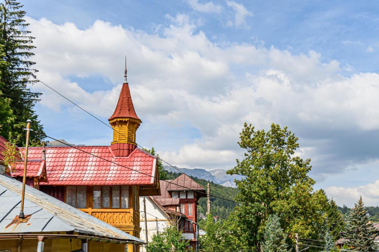 Mountain Oasis Apartment Sinaia Buitenkant foto