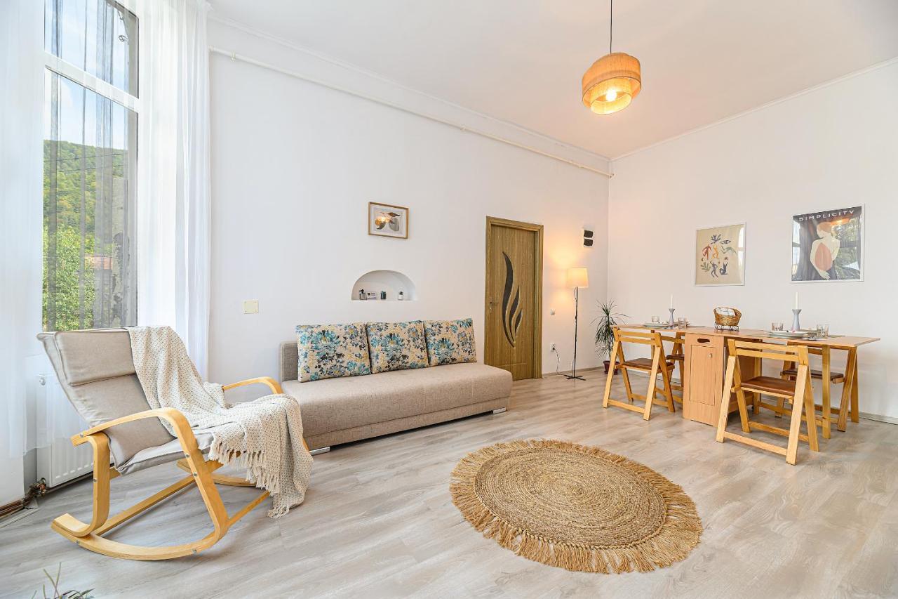 Mountain Oasis Apartment Sinaia Buitenkant foto